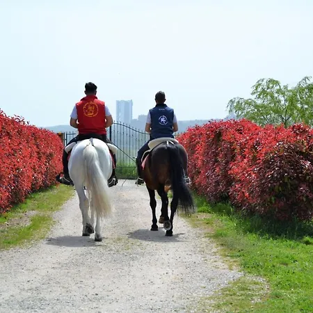Farma Vento Barocco - Equitazione E Turismo *